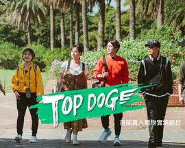 91爆料《TOP DOG》免费在线观看