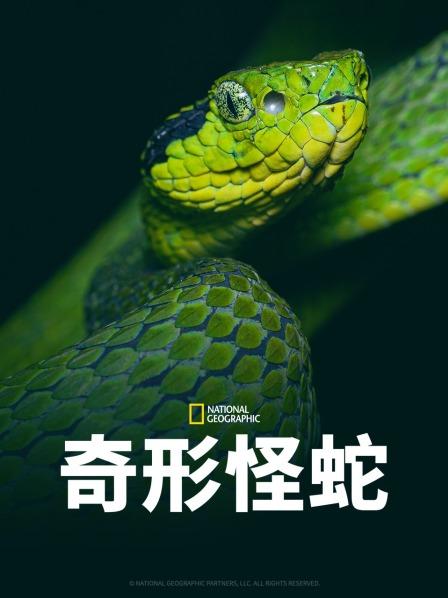 91爆料成人片《奇形怪蛇》免费在线观看
